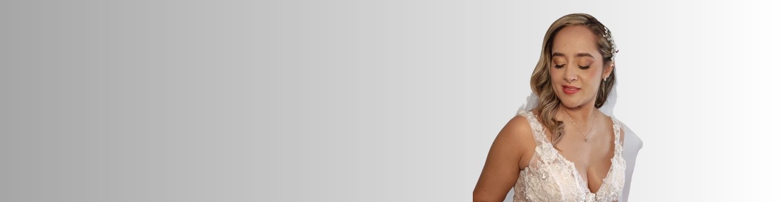 banner como dictar cursos
